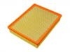 Air Filter:25313348