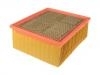 Luftfilter Air Filter:53034051AB