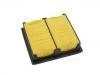 Filtro de aire Air Filter:17220-P2N-A01