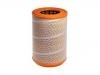 Filtro de aire Air Filter:1387549