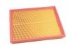 Filtro de aire Air Filter:10137097