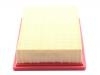 Air Filter:1109190-U10