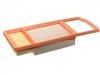 Luftfilter Air Filter:52000306