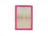 Luftfilter Air Filter:151000079AA